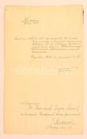1914 Gyula, Békés vármegye főispánjának főorvosi kinevezése Rapcsák Lajos, a budapesti Vöröskereszt kórház főorvosa részére, rányomott viaszpecsét töredékével