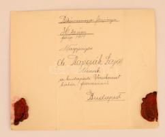 1914 Gyula, Békés vármegye főispánjának főorvosi kinevezése Rapcsák Lajos, a budapesti Vöröskereszt ...