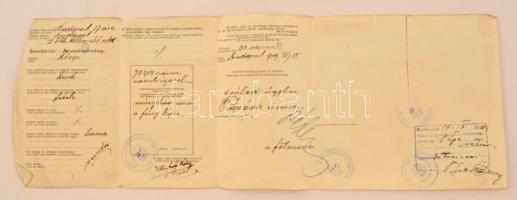 1919 Kossuth címeres igazoló jegy / útlevél Budapestről Pápára utazáshoz a megszálló román hatóságok által ellenjegyezve / Picture passport countersigned by the occupiing Romanian authorities