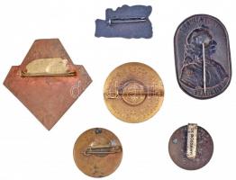 6db-os vegyes jelvény tétel, közte 1970. "Magyarország Állóvizei" zománcozott Br jelvény j...