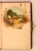 1907-1909 Plüssborítású, rézcsatos emlékkönyv jó állapotban