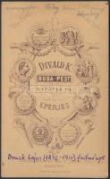 cca 1890 rumunyesti Fábry János portréja. Divald Károly festményről készült fotója 7x11 cm