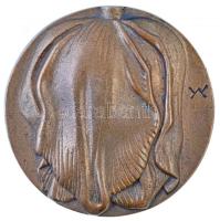 Madarassy Walter (1909-1994) DN "Tulipán" Br plakett (97mm) T:2