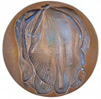 Madarassy Walter (1909-1994) DN "Tulipán" Br plakett (97mm) T:2