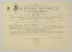 1925 Gyógyszerész diploma / Pharmacologist diploma