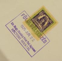 1925 Gyógyszerész diploma / Pharmacologist diploma