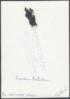 Farkas Bertalan (1949-) aláírt fotója, Hámori Gyuláné fényképészmester bélyegzőjével a hátlapon, 17x...