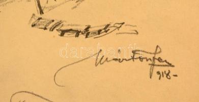 Márton Ferenc (1884-1940): I. világháború 1918: Czvitkovics Ferenc törzsőrmester a 17. honvéd gyalog...