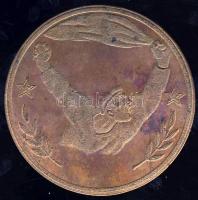 Tanácsköztársasági emlék nagyalakú Br plakett T:1