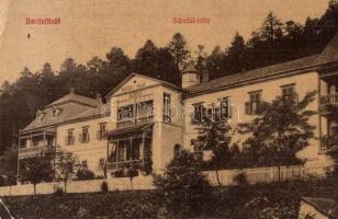 Bártfafürdő, Bardejovské Kúpele, Bardiov; Schedel villa, kiadja Horovitz M. / villa (EK)