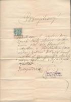 1921 Kozmetikusi bizonyítvány, Szántó Sándorné Kozmetikai és Szépségápolási Intézete, Budapest, 2kr ...