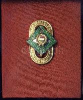 Testnevelés és sport érdemes dolgozója jelvény eredeti dísztokban T:1