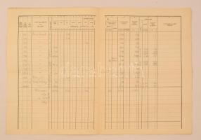 cca 1900 Wiener Mór gazdálkodó pusztaberki birtokának kataszteri birtokíve