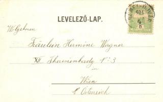 1904 Németújvár, Güssing; a vasút megnyitásának emlékére, kiadja Storch Ede / memorial card for the ...