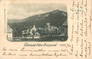 1899 Felsőbánya, Baia Sprie; Látkép, Divald K. fia / general view (Rb)