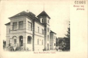Alvinc, Vintu de Jos; Báró Horváth kastélya / castle (EK)