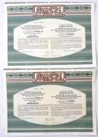 Budapest 1991."MÜSZI Mezőgazdasági Üzemszervezési, Számítástechnikai és Informatikai Részvénytársaság" részvénye 10.000Ft értékben, szelvényekkel (2x) T:I-