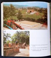 Radó Dezső: Budapesti parkok és terek. Bp., 1985, Magyar Nemzeti Galéria.  Aláírt! Kiadói papírkötés...