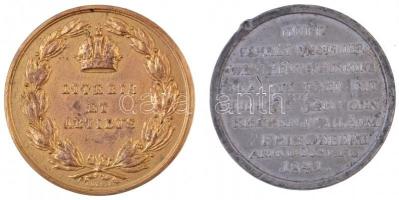 1841. Német fém emlékérem (45mm) + DN "Literis et artibus - Művészetekért" díjérem aranyoz...
