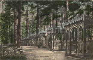 Marilla, Szanatórium, Fekvő sátrak / sanatorium, lying pavilions (fa)