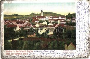 Varasdfürdő, Warasdin-Töplitz, Varazdinske-Toplice; Látkép, kiadja Jacob Strauss / general view (EM)