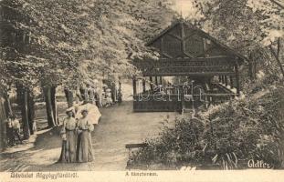 Algyógyfürdő, Geoagiu; Táncterem, Adler fényirda / dance pavilion