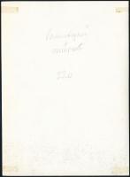 cca 1935 Kinszki Imre (1901-1945): Pamutszerű műrost 220x nagyításban, feliratozott vintage fotóművé...