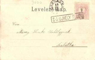 1899 Sátoraljaújhely, Lővy Adolf kiadása, floral litho (fl)