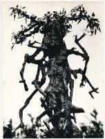 cca 1969 Kalocsai Rudolf: Emlékmű, feliratozott vintage fotóművészeti alkotás, 24x18 cm