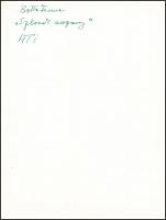 cca 1965 Botta Ferenc (1919-1968): Szlovák asszony, aláírt vintage fotóművészeti alkotás, 24x18 cm