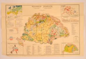 cca 1910 Fodor Ferenc: Magyarország gazdaságföldrajzi térképe. Nagyméretű 100x63 cm