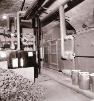 1982 Budapest, MŰVÉSZ mozi külső-belső felvételei, 7 db szabadon felhasználható vintage negatív, 6x6...