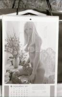 1977 Akt reprók különféle forrásokból, 32 db negatív, 24x36 mm