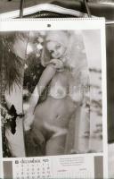 1977 Akt reprók különféle forrásokból, 32 db negatív, 24x36 mm