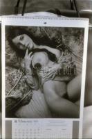 1977 Akt reprók különféle forrásokból, 32 db negatív, 24x36 mm