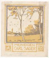 Alfred Peter (1877-1959): Ex libris Carl Sager.  Színes fametszet, papír, jelzett a dúcon, 9×6 cm