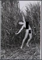 cca 1977 Tájcsi a zizzenő nádszálak között, finoman erotikus fénykép, korabeli negatívról készült mai nagyítás, 25x18 cm