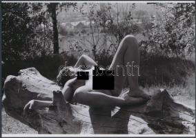 cca 1975 Természeti formák egymáshoz simulva, 2 db finoman erotikus fénykép, korabeli negatívról készült mai nagyítás, 18x25 cm / 2 erotic photos, 18x25 cm