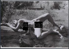 cca 1975 Természeti formák egymáshoz simulva, 2 db finoman erotikus fénykép, korabeli negatívról kés...