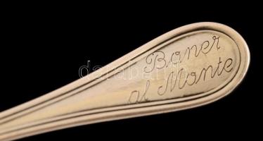Ezüst(Ag) hosszú nyelű fűszerkanál, gravírozással, jelzett, h: 13 cm, nettó: 14,9 cm