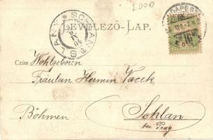 1904 Budapest  I. Mátyás-templom photo (fl)