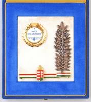 ~1970-2007. Rendkívül tartalmas (~27db) MÁV tétel, közte 1997. "30 éves a Szolnoki MÁV Kórház&q...