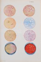 Dr. Went István, Dr. Preisz Hugó, Dr. Sántha Kálmán: Általános kórtan. Debrecen, 1944, M. Kir. Tisza...