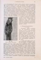 Dr. Went István, Dr. Preisz Hugó, Dr. Sántha Kálmán: Általános kórtan. Debrecen, 1944, M. Kir. Tisza...