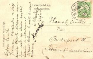 Szávaszentdemeter, Mitrovica; Városi sétatér. Jovan Mihajlovits kiadása / Gradsko Setaliste / promen...