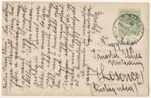 1911 Budapest, Beliczay Gyula festőművész a zongoránál, a képeslapként elküldött fotón saját kézzel ...