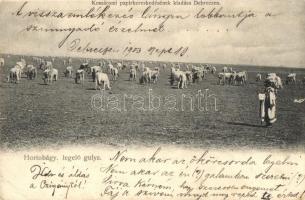 Hortobágy, Legelő gulya, Komáromi Papírkereskedés kiadása (EK)