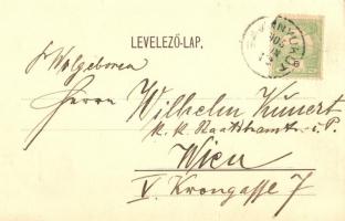 Savanyúkút, Sauerbrunn; Fritz Hönigsberg üzlete és saját kiadású lapja / Alleinverkauf bei Fritz Hön...