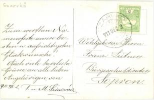 1911 Szarvkő, Hornstein; városkép / panorama, photo