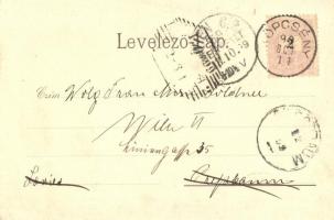 1899 Pozsony, Pressburg, Bratislava; Resles a Ligetből /